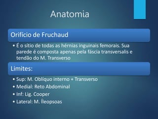 Anatomia
Orifício de Fruchaud
• É o sítio de todas as hérnias inguinais femorais. Sua
parede é composta apenas pela fáscia transversalis e
tendão do M. Transverso
Limites:
• Sup: M. Oblíquo interno + Transverso
• Medial: Reto Abdominal
• Inf: Lig. Cooper
• Lateral: M. Íleopsoas
 