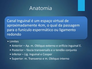 Anatomia
Canal Inguinal é um espaço virtual de
aproximadamente 4cm, o qual da passagem
para o funículo espermático ou ligamento
redondo
• Limites
• Anterior – Ap. m. Obliquo externo e orifício inguinal E.
• Posterior – fáscia transversalis e o tendão conjunto
• Inferior – Lig. Inguinal e Cooper
• Superior: m. Transverso e m. Obliquo interno
 