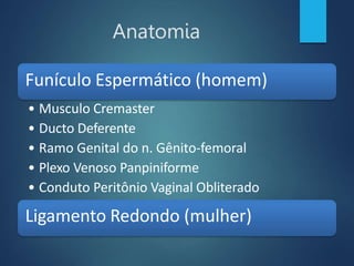 Anatomia
Funículo Espermático (homem)
• Musculo Cremaster
• Ducto Deferente
• Ramo Genital do n. Gênito-femoral
• Plexo Venoso Panpiniforme
• Conduto Peritônio Vaginal Obliterado
Ligamento Redondo (mulher)
 