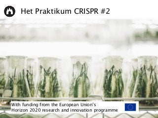 Het Praktikum CRISPR #2
With funding from the European Union’s
Horizon 2020 research and innovation programme
 