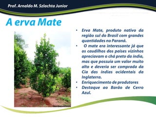 A erva Mate
Prof. Arnaldo M. Szlachta Junior
•  Erva Mate, produto nativo da
região sul do Brasil com grandes
quantidades no Paraná.
•  O mate era interessante já que
os caudilhos dos países vizinhos
apreciavam o chá preto da índia,
mas que possuía um valor muito
alto e deveria ser comprada da
Cia das índias ocidentais da
Inglaterra.
•  Enriquecimento de produtores
•  Destaque ao Barão de Cerro
Azul.
 