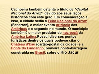 Cachoeira também ostenta o título de "Capital
Nacional do Arroz", devido aos seus laços
históricos com este grão. Em comemoração a
isso, a cidade sedia a Feira Nacional do Arroz
(Fenarroz), o maior evento orizícola das
Américas e o segundo no mundo. O município
também é o maior produtor de noz-pecã da
América Latina.Possui diversos pontos
turísticos dentre os quais pode-se citar o
Château d'Eau (cartão-postal da cidade) e a
Ponte do Fandango, primeira ponte-barragem
construída no Brasil, sobre o Rio Jacuí
 