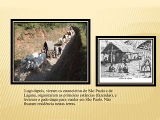 Logo depois, vieram os estancieiros de São Paulo e de
Laguna, organizaram as primeiras estâncias (fazendas), e
levaram o gado daqui para vender em São Paulo. Não
fixaram residência nestas terras.
 