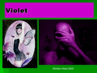 Violet   is the colour of fantasy, playfulness, impulsiveness, and dream states. In its negative mode, it can suggest nightmares, or madness  Shiribia Viloet 2002 