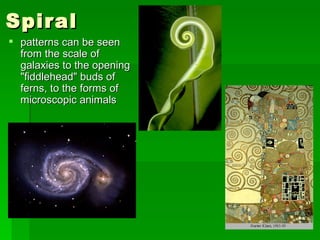 Spiral  patterns can be seen from the scale of galaxies to the opening "fiddlehead" buds of ferns, to the forms of microscopic animals  