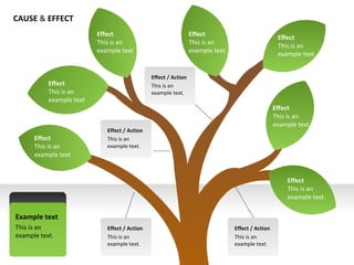 Cause and Effect | PPT