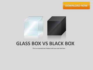 GLASS BOX VS BLACK BOX
      This is an example text. Replace with your own text here.
 