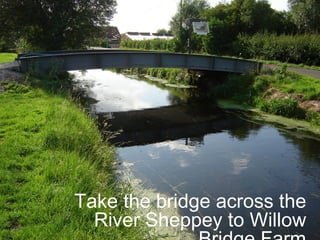 Take the bridge across the River Sheppey to Willow Bridge Farm. 