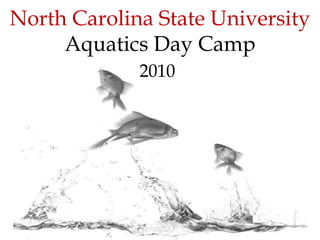 North Carolina State UniversityAquaticsDay Camp 2010 