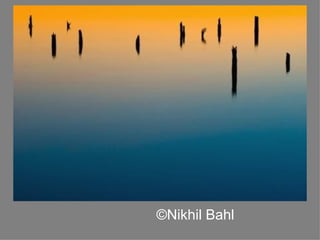 © Nikhil Bahl  