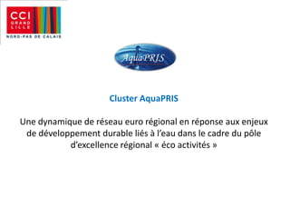 Cluster AquaPRIS

Une dynamique de réseau euro régional en réponse aux enjeux
 de développement durable liés à l’eau dans le cadre du pôle
           d’excellence régional « éco activités »
 