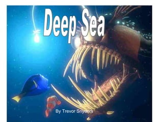 Deep Sea By Trevor Snyders 