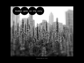 Personal photo by J Clark
Hidden gems in the city
 