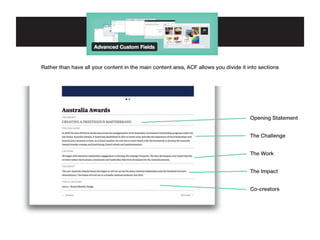 Rather than have all your content in the main content area, ACF allows you divide it into sections

Opening Statement
The Challenge
The Work
The Impact
Co-creators

 