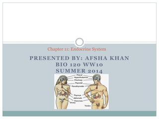 PRESENTED BY: AFSHA KHAN
BIO 120 WW10
SUMMER 2014
Chapter 11: Endocrine System
 