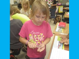 2nd Grade Slideshow 2015-2016