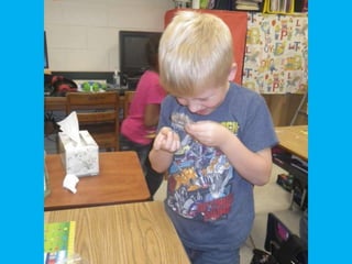 2nd Grade Slideshow 2015-2016