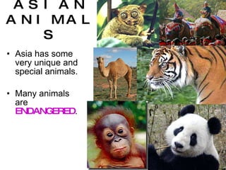 ASIAN ANIMALS Asia has some very unique and special animals. Many animals are  ENDANGERED .  