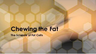 The Science of Fat Cells
Chewing the Fat
 