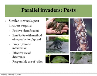 Why Compost?
          Parallel invaders: Pests
     • Similar to weeds, pest
       invaders require:
         - Positive identi cation
         - Familiarity with method
           of reproduction/spread
         - Properly timed
           intervention
         - Eﬀective use of
           deterrents
         - Responsible use of -cides


Tuesday, January 31, 2012
 