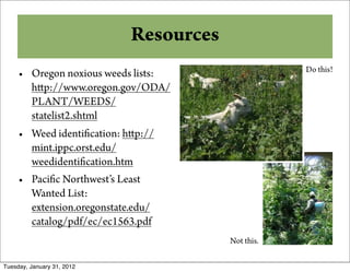 Resources
                                                    Do this!
     • Oregon noxious weeds lists:
       h p://www.oregon.gov/ODA/
       PLANT/WEEDS/
       statelist2.shtml
     • Weed identi cation: h p://
       mint.ippc.orst.edu/
       weedidenti cation.htm
     • Paci c Northwest’s Least
       Wanted List:
       extension.oregonstate.edu/
       catalog/pdf/ec/ec1563.pdf
                                        Not this.

Tuesday, January 31, 2012
 