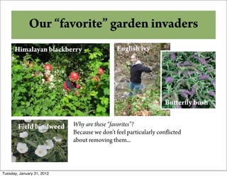 And Some Other Options
     Our “favorite” garden invaders
      Himalayan blackberry                   English ivy




                                                                 Bu er y bush


        Field bindweed      Why are these “favorites”?
                            Because we don’t feel particularly con icted
                            about removing them...



Tuesday, January 31, 2012
 