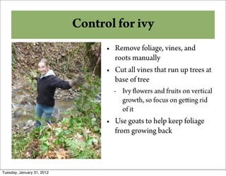 And Some Other for ivy
          Control Options
                            • Remove foliage, vines, and
                              roots manually
                            • Cut all vines that run up trees at
                              base of tree
                              - Ivy owers and fruits on vertical
                                growth, so focus on ge ing rid
                                of it
                            • Use goats to help keep foliage
                              from growing back




Tuesday, January 31, 2012
 