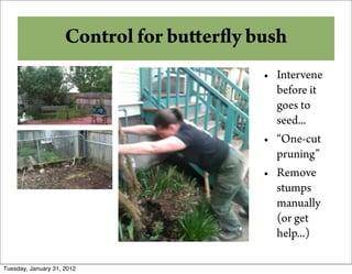 And Some Other Options
       Control for bu er y bush
                            • Intervene
                              before it
                              goes to
                              seed...
                            • “One-cut
                              pruning”
                            • Remove
                              stumps
                              manually
                              (or get
                              help...)

Tuesday, January 31, 2012
 