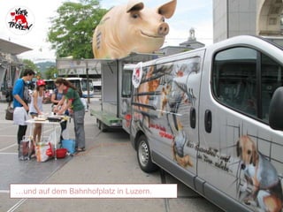 …und auf dem Bahnhofplatz in Luzern.