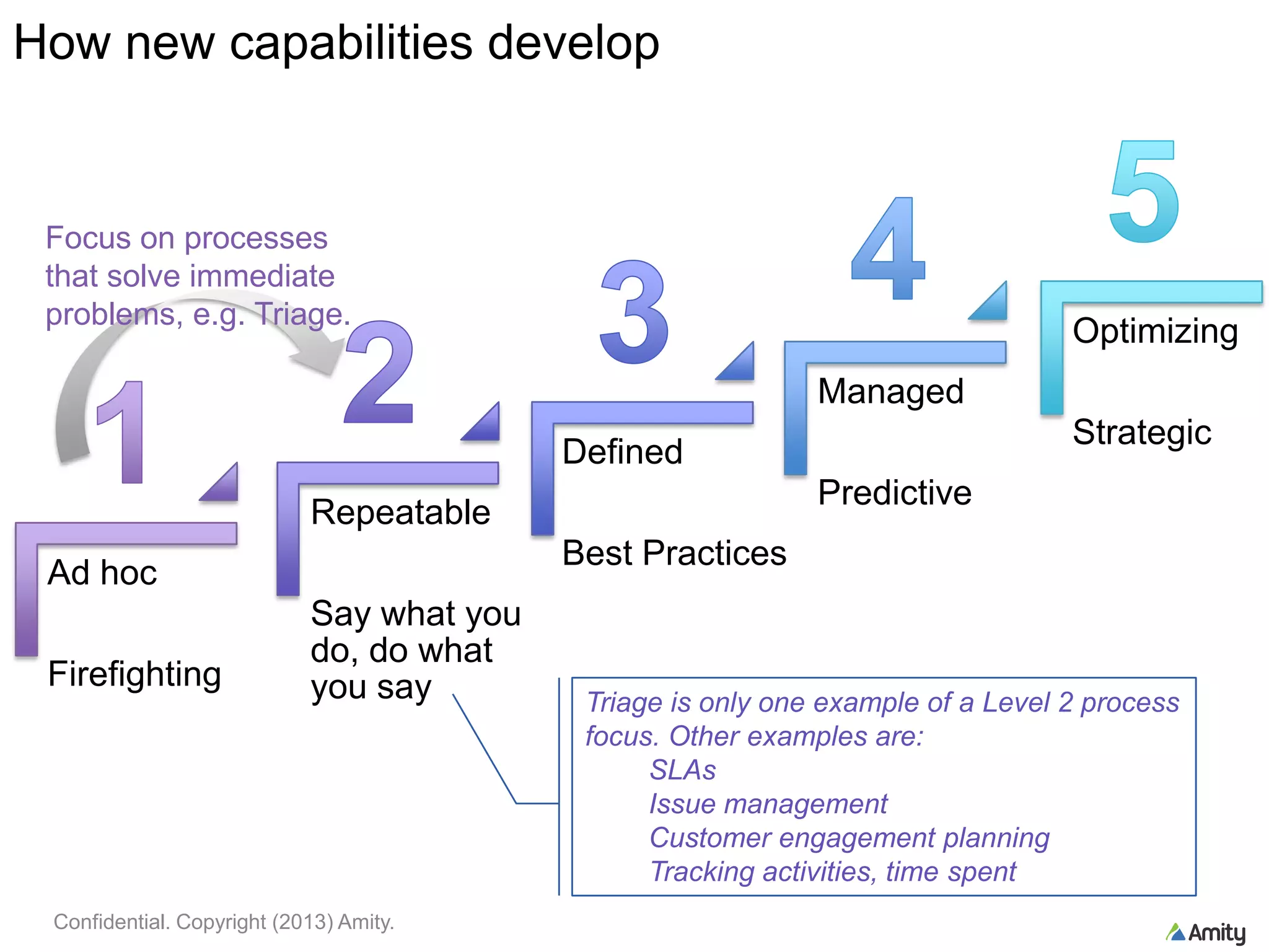 How new capabilities develop
Confidential. Copyright (2013) Amity.
Ad hoc
Firefighting
Repeatable
Say what you
do, do what
you say
Defined
Best Practices
Managed
Predictive
Optimizing
Strategic
Triage is only one example of a Level 2 process
focus. Other examples are:
SLAs
Issue management
Customer engagement planning
Tracking activities, time spent
Focus on processes
that solve immediate
problems, e.g. Triage.
 