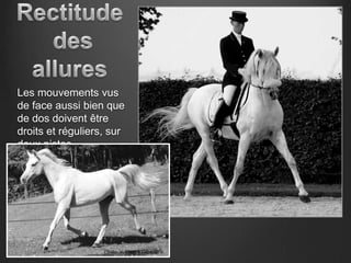 Les mouvements vus
de face aussi bien que
de dos doivent être
droits et réguliers, sur
deux pistes.




                   Photo: V. Mestre Gibaud
 