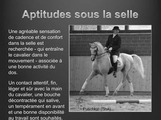 Une agréable sensation
de cadence et de confort
dans la selle est
recherchée - qui entraîne
le cavalier dans le
mouvement - associée à
une bonne activité du
dos.

Un contact attentif, fin,
léger et sûr avec la main
du cavalier, une bouche
décontractée qui salive,
un tempérament en avant
et une bonne disponibilité
au travail sont souhaités.
 