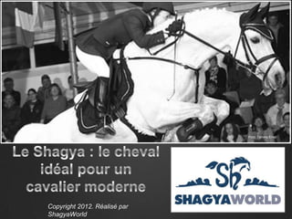 Foto: Tammo Ernst




Copyright 2012. Réalisé par
ShagyaWorld
 