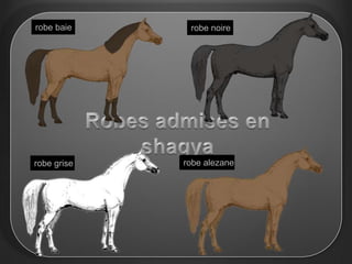 robe baie     robe noire




robe grise   robe alezane
 