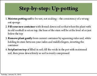 Step-by-step: Up-potting
1. Moisten potting soil to be wet, not soaking—the consistency of a wrung-
out sponge
2. Fill your new container with firmed-down soil so that when the plant with
its old rootball is set on top, the base of the stem will be at the level of or just
below the top
3. Remove plant gently from current container by squeezing sides and, while
holding its stem between your index and middle fingers, inverting the
container
4. Set plant on top of filled-in soil; fill the voids in the pot with moistened
soil, then press down firmly so soil is evenly compressed
Tuesday, January 31, 2012
 