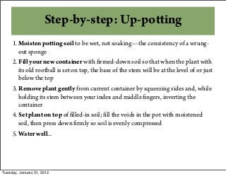 Step-by-step: Up-potting
1. Moisten potting soil to be wet, not soaking—the consistency of a wrung-
out sponge
2. Fill your new container with firmed-down soil so that when the plant with
its old rootball is set on top, the base of the stem will be at the level of or just
below the top
3. Remove plant gently from current container by squeezing sides and, while
holding its stem between your index and middle fingers, inverting the
container
4. Set plant on top of filled-in soil; fill the voids in the pot with moistened
soil, then press down firmly so soil is evenly compressed
5. Water well...
Tuesday, January 31, 2012
 