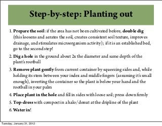 Step-by-step: Planting out
1. Prepare the soil: if the area has not been cultivated before, double dig
(this loosens and aerates the soil, creates consistent soil texture, improves
drainage, and stimulates microorganism activity); if it is an established bed,
go to the second step!
2. Dig a hole in the ground about 2x the diameter and same depth of the
plant’s rootball
3. Remove plant gently from current container by squeezing sides and, while
holding its stem between your index and middle fingers (assuming it’s small
enough), inverting the container so the plant is below your hand and the
rootball in your palm
4. Place plant in the hole and fill in sides with loose soil; press down firmly
5. Top-dress with compost in a halo/donut at the dripline of the plant
6. Water in!
Tuesday, January 31, 2012
 
