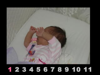 1  2 3 4 5 6 7 8 9 10 11 