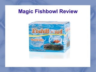 Magic Fishbowl Review

 