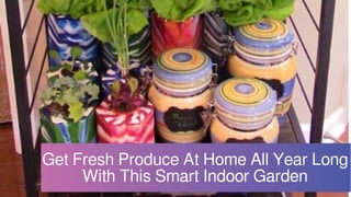 Get Fresh Produce At Home All Year Long
With This Smart Indoor Garden
 