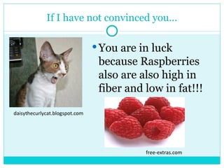 If I have not convinced you… You are in luck because Raspberries also are also high in fiber and low in fat!!! free-extras.com daisythecurlycat.blogspot.com 