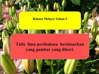 Bahasa Melayu Tahun 5 Tulis  lima peribahasa  berdasarkan yang gambar yang diberi. 