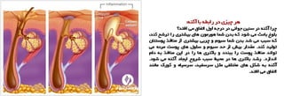 اسلاید شو شماره 2 پوست نیوز - داشتن مراقبت های عالی پوستی روزانه