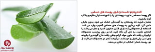 اسلاید شو شماره 2 پوست نیوز - داشتن مراقبت های عالی پوستی روزانه
