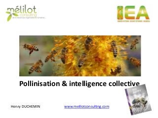 Pollinisation & intelligence collective 
Henry DUCHEMIN 
www.melilotconsulting.com  