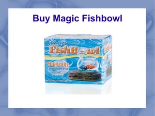 Buy Magic Fishbowl

 