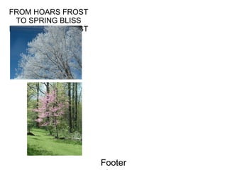 FROM HOARS FROST TO SPRING BLISS FROM HOARS FROST TO SPRING BLISS 