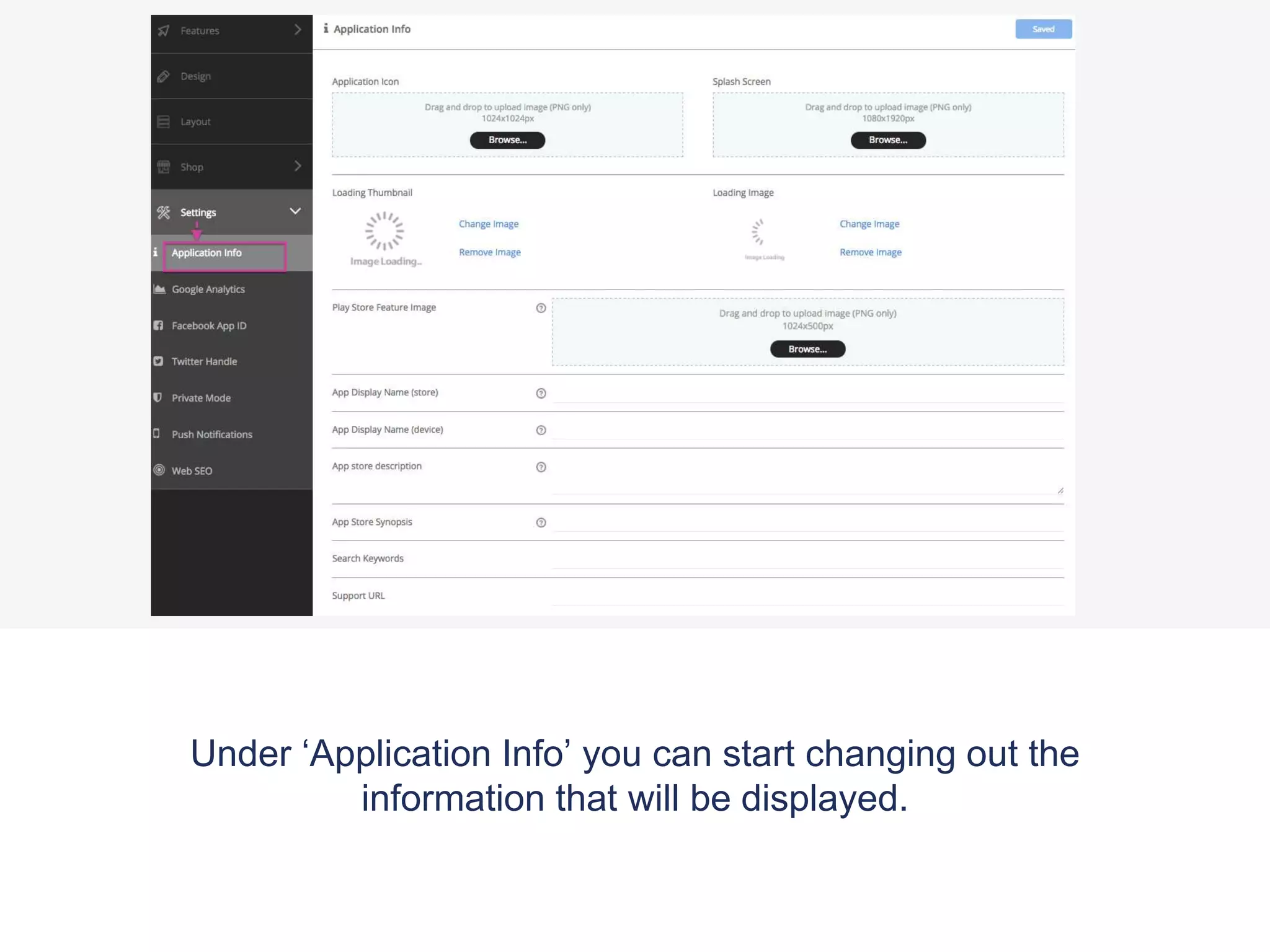 Under ‘Application Info’ you can start changing out the
information that will be displayed.
 