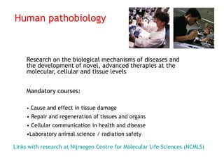 Radboud Biomedical Sciences Master Programs | PDF