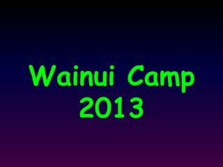 Wainui Camp
2013
 